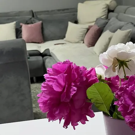 Dalia