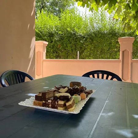 Dalia סראייבו