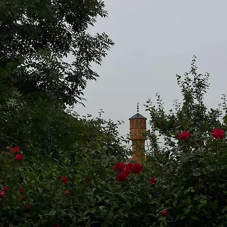 וילה Dalia