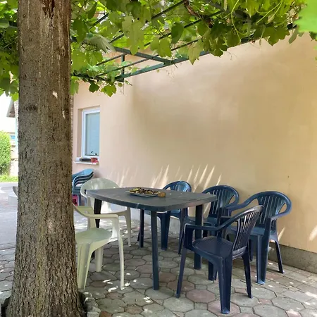 Dalia סראייבו